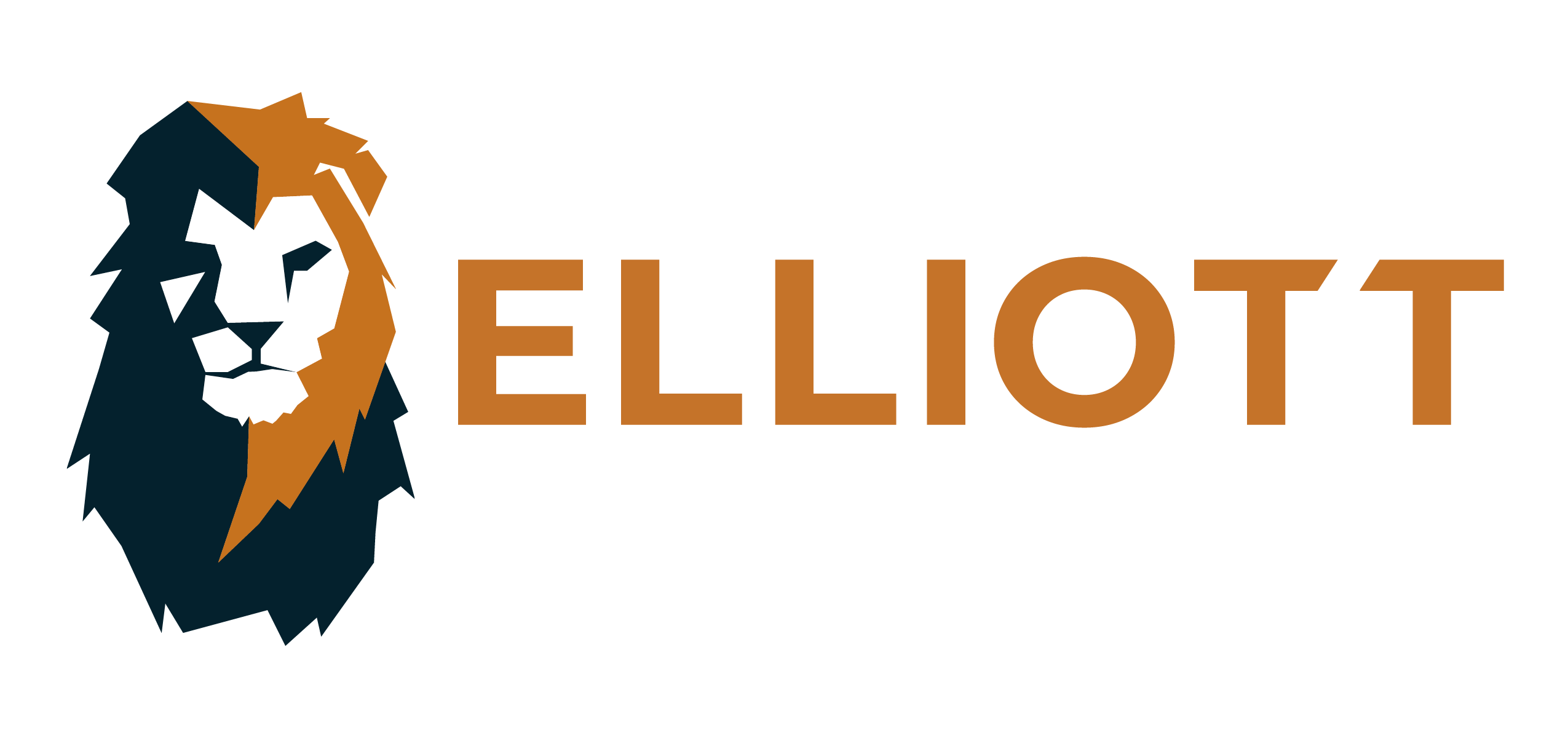 The Elliott Group
